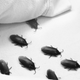 Image for article titled Free Coronavirus Cooties With 1-Night Stay: Trump Hotel Busted For Not Cleaning Rooms